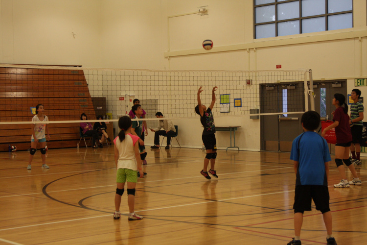 Phoenix Volleyball School